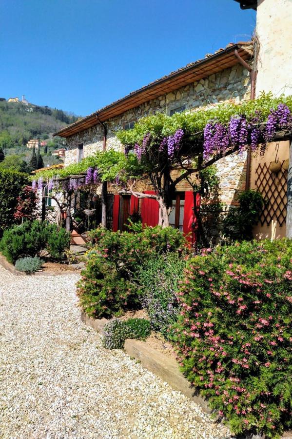 La Corte Del Falco Pieve a Nievole Ngoại thất bức ảnh