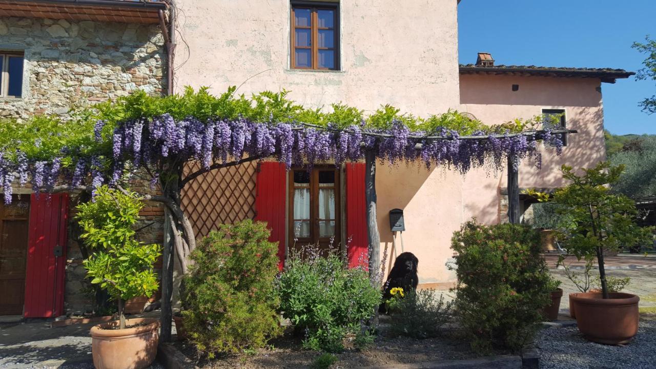 La Corte Del Falco Pieve a Nievole Ngoại thất bức ảnh